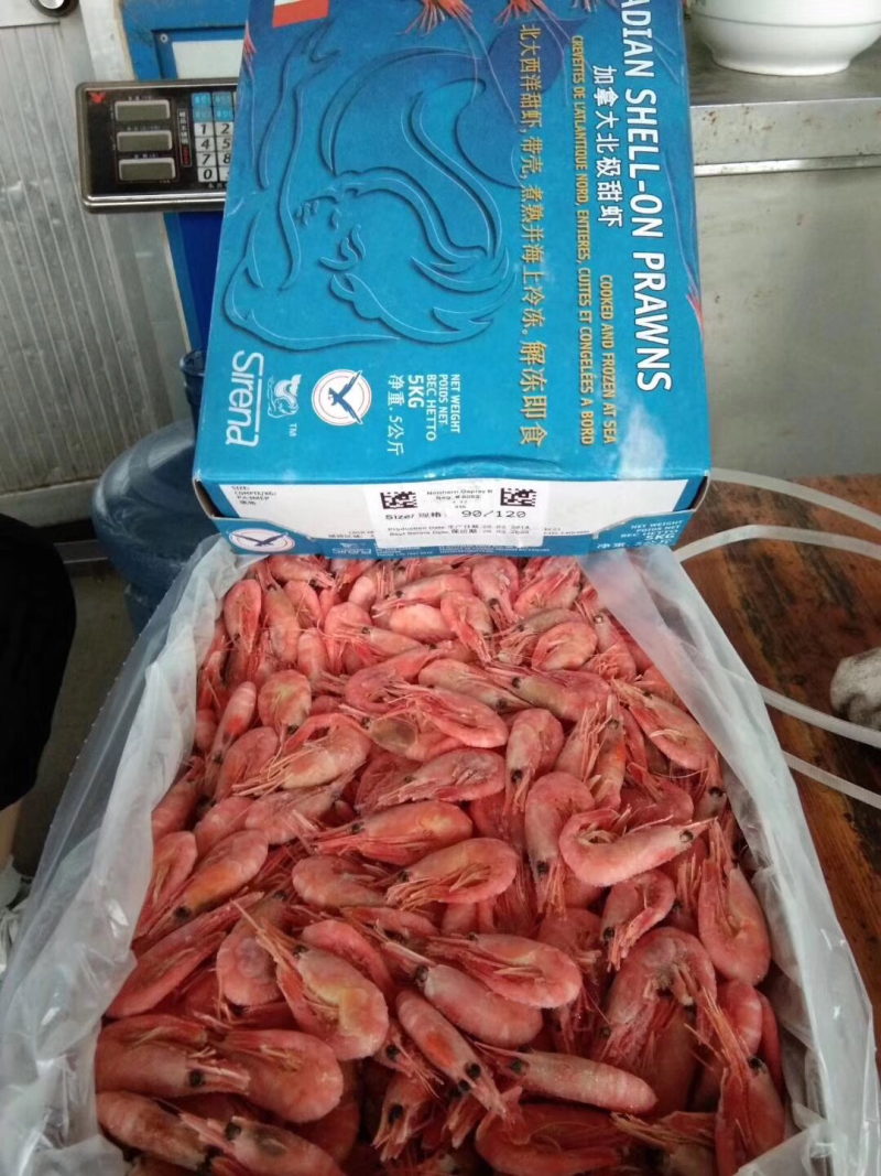 北极虾