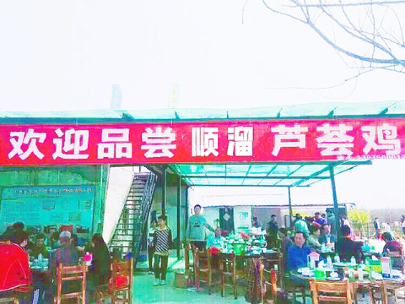 芦荟基地叶片批发零售全国发货美容芦荟批发