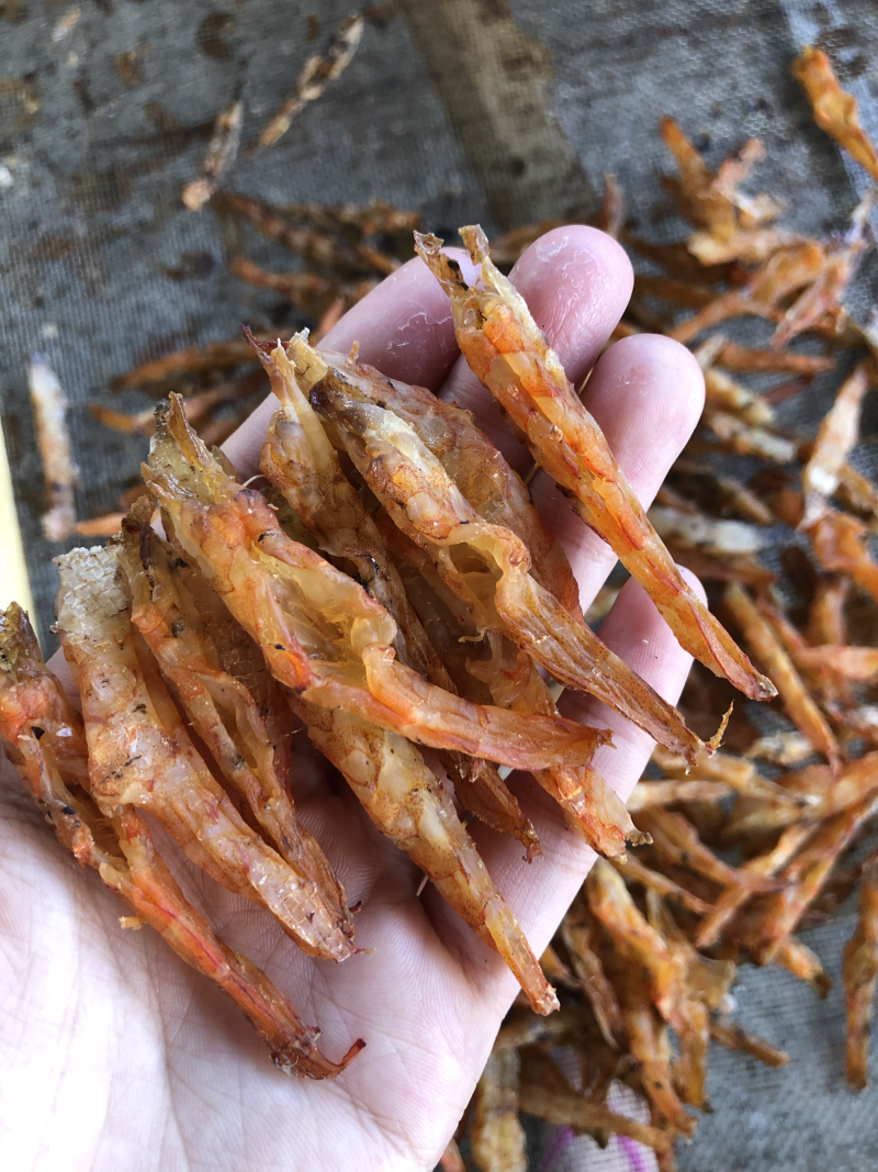 虾干虾条海米