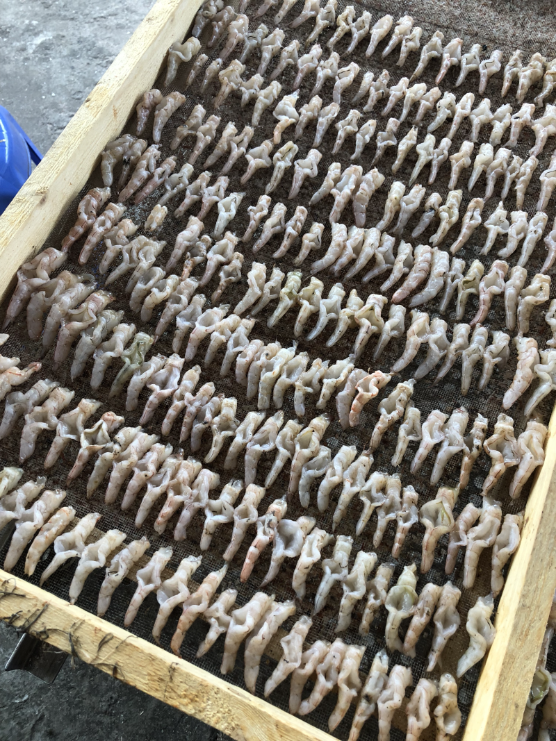 虾干虾条海米