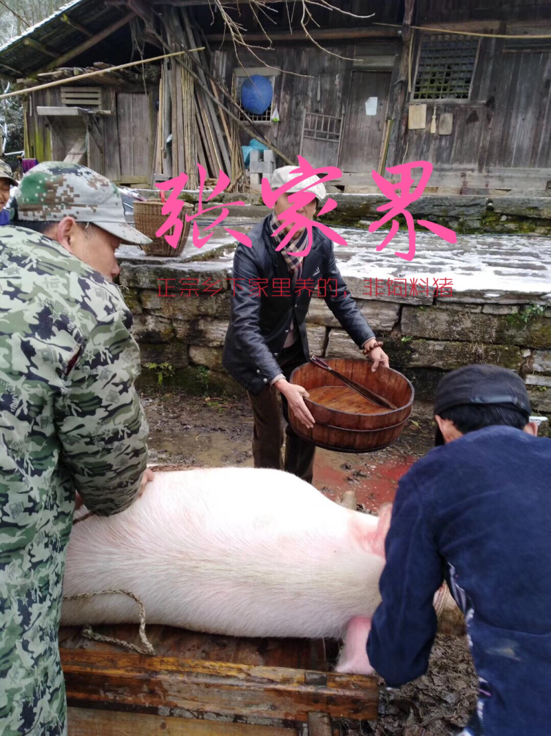 张家界湘西腊肉，土特产，山村土货