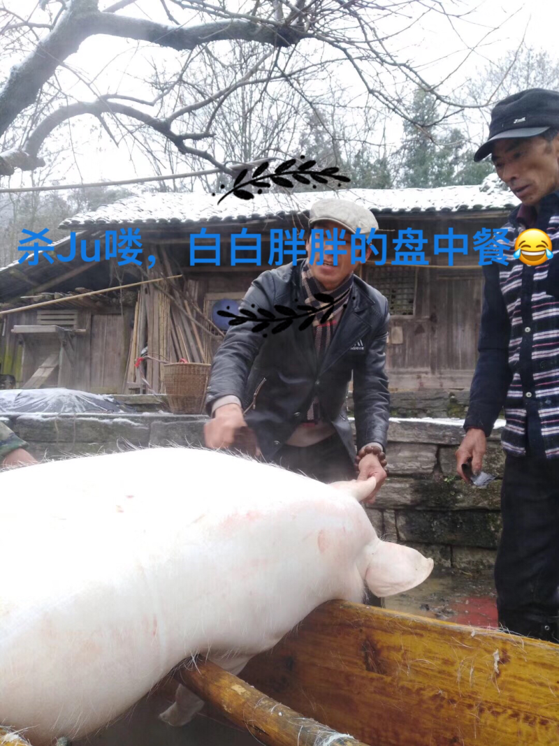 张家界湘西腊肉，土特产，山村土货