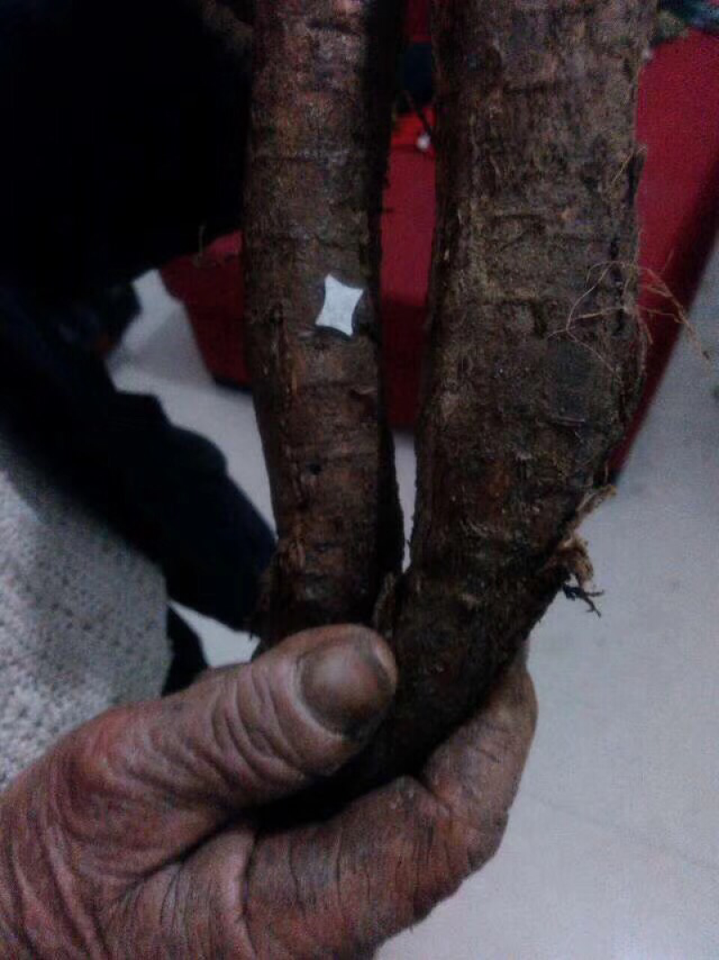 张家界湘西腊肉，土特产，山村土货