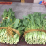 高端产品，仙姑故乡，增城迟菜心，有机蔬菜