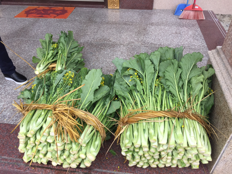 高端产品，仙姑故乡，增城迟菜心，有机蔬菜