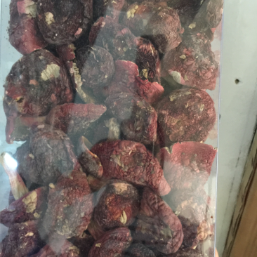 中菇红菇标菇正红菇老挝