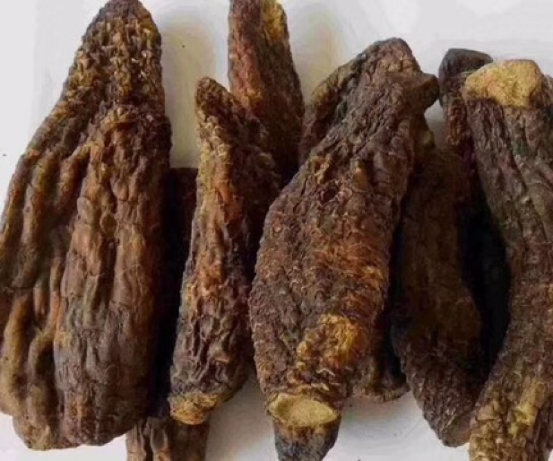 肉苁蓉野生肉苁蓉整根