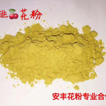 樱桃花粉