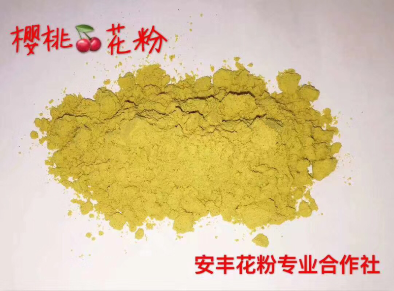 樱桃花粉