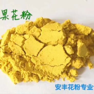 苹果花粉