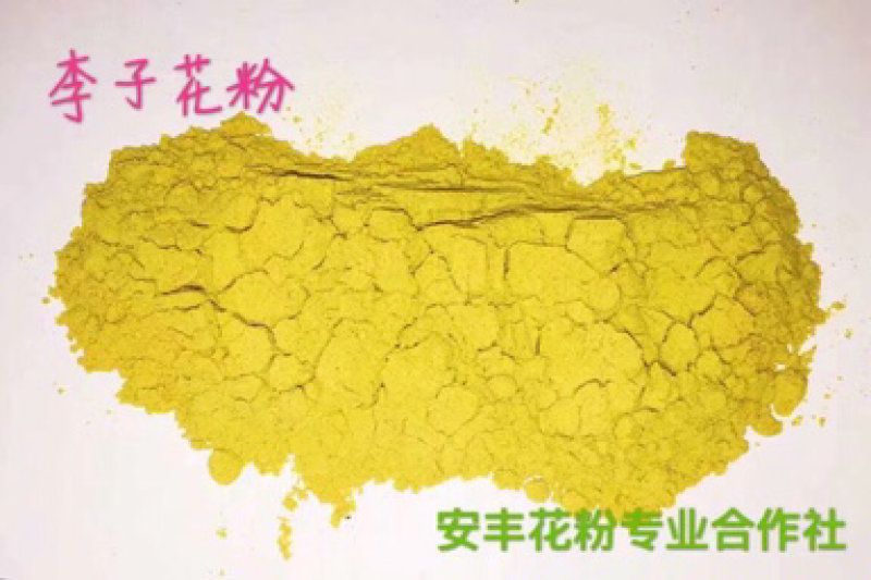 李子花粉