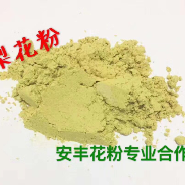梨花粉
