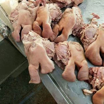 冷冻半成品猪头肉新鲜冷冻猪头肉猪头肉冷冻猪头皮19斤江浙