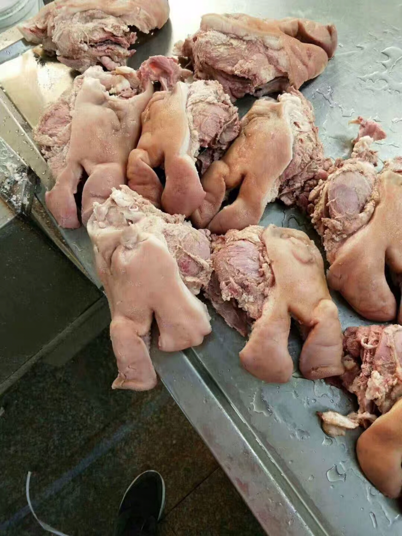 冷冻半成品猪头肉新鲜冷冻猪头肉猪头肉冷冻猪头皮19斤江浙