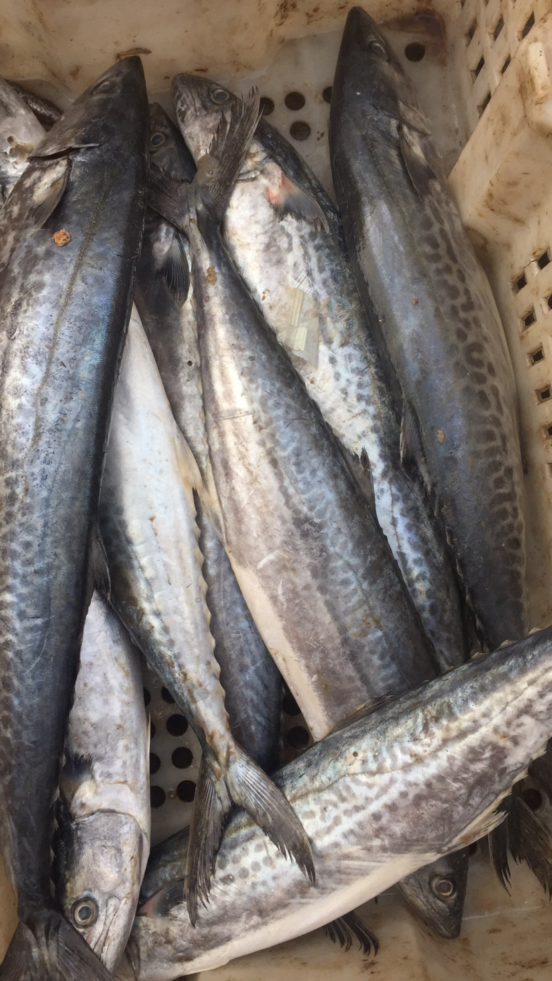 海鲜