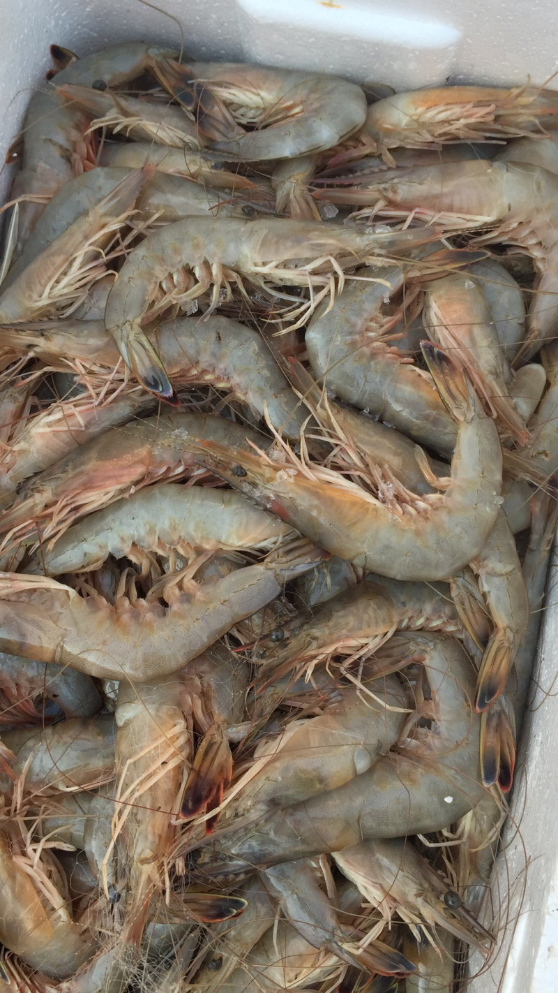 海鲜