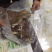 纯天然蒙古八分熟羊肉