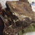 纯天然蒙古八分熟羊肉