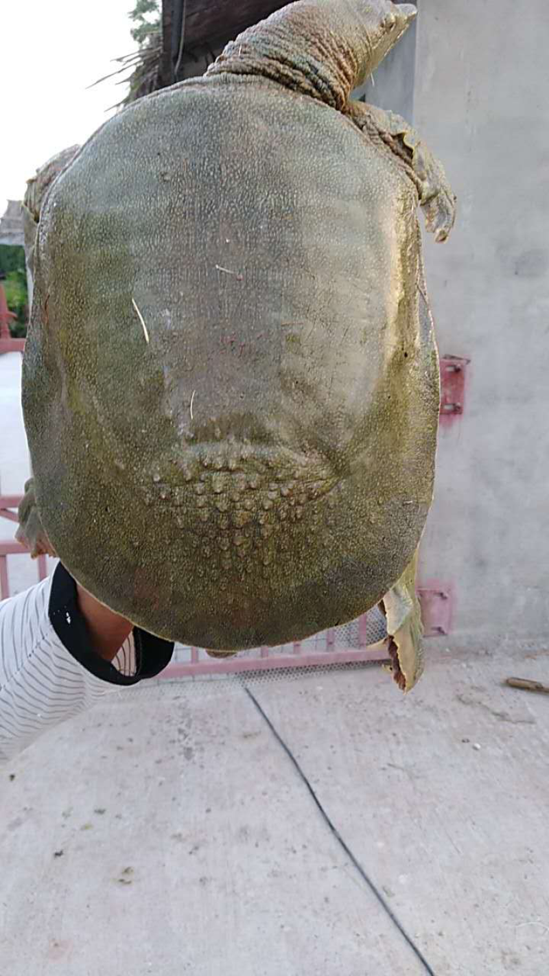 水产