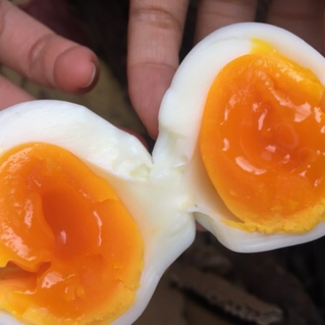 土鸡蛋打包发货……包邮