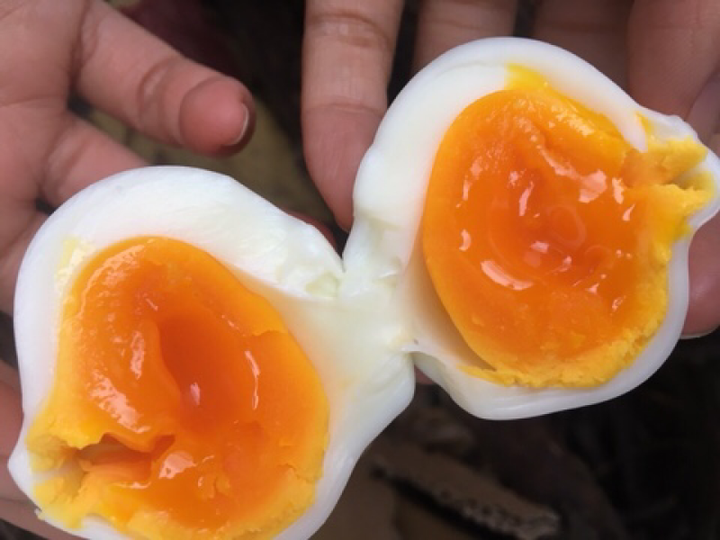 土鸡蛋打包发货……包邮