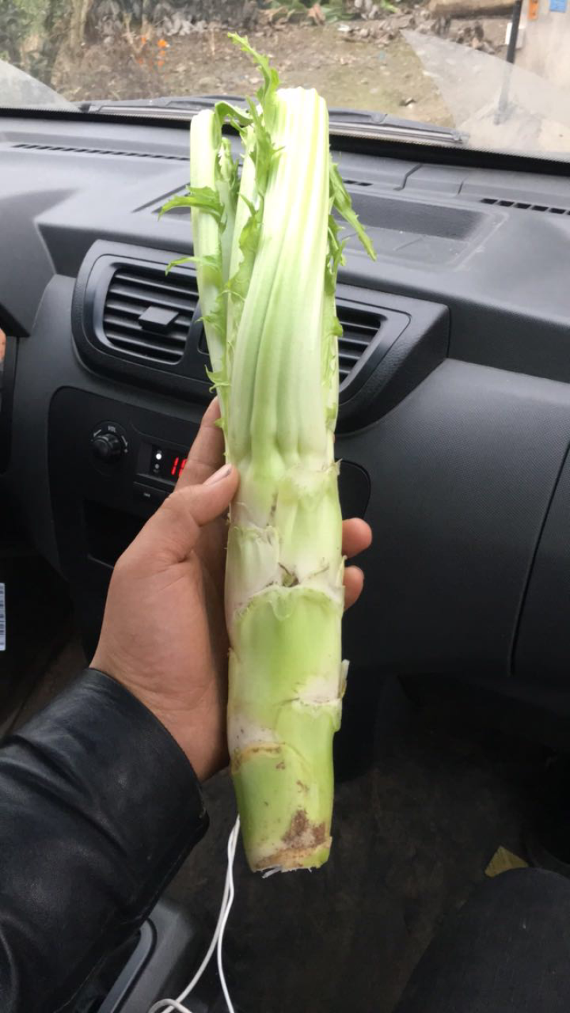 棒菜