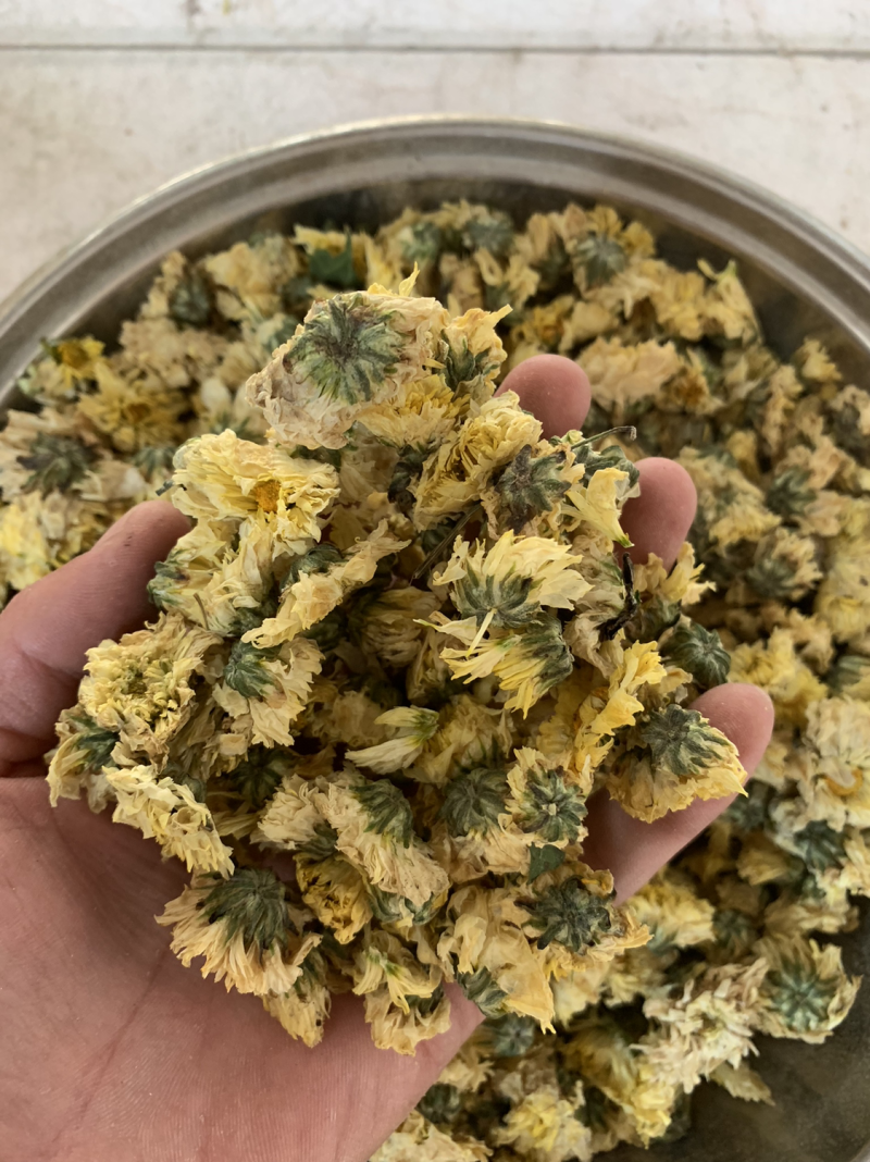 江苏杭白菊胎菊胎米菊花茶