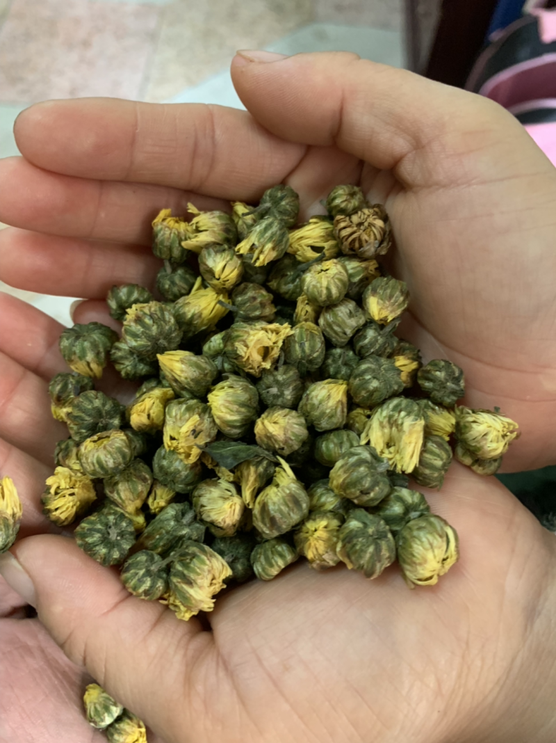 江苏杭白菊胎菊胎米菊花茶
