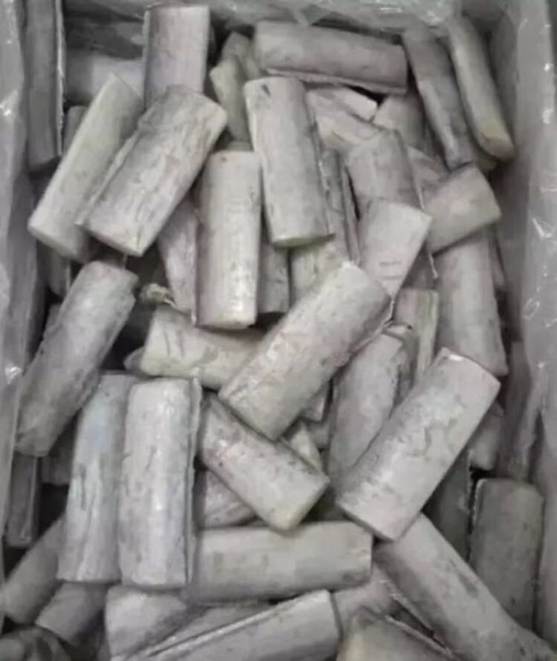 刀鱼段