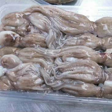 水产