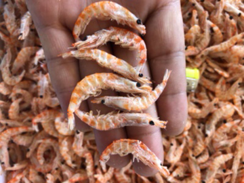 磷虾干