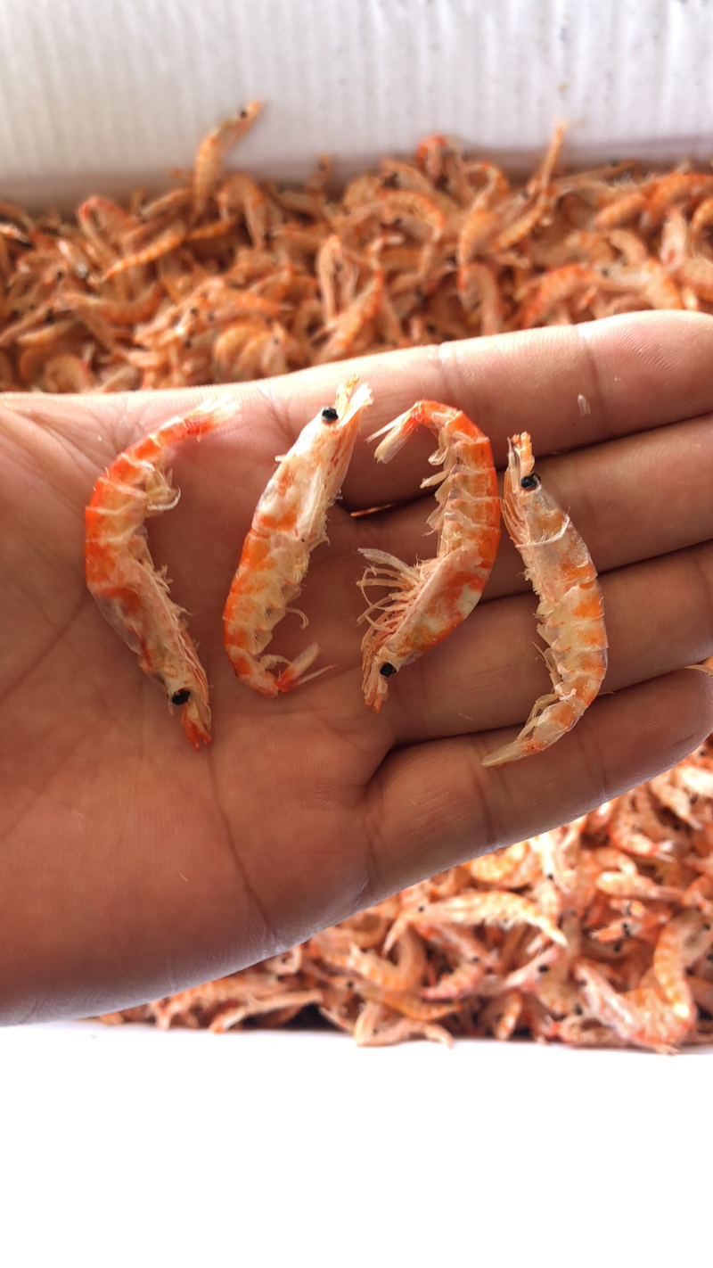 磷虾干
