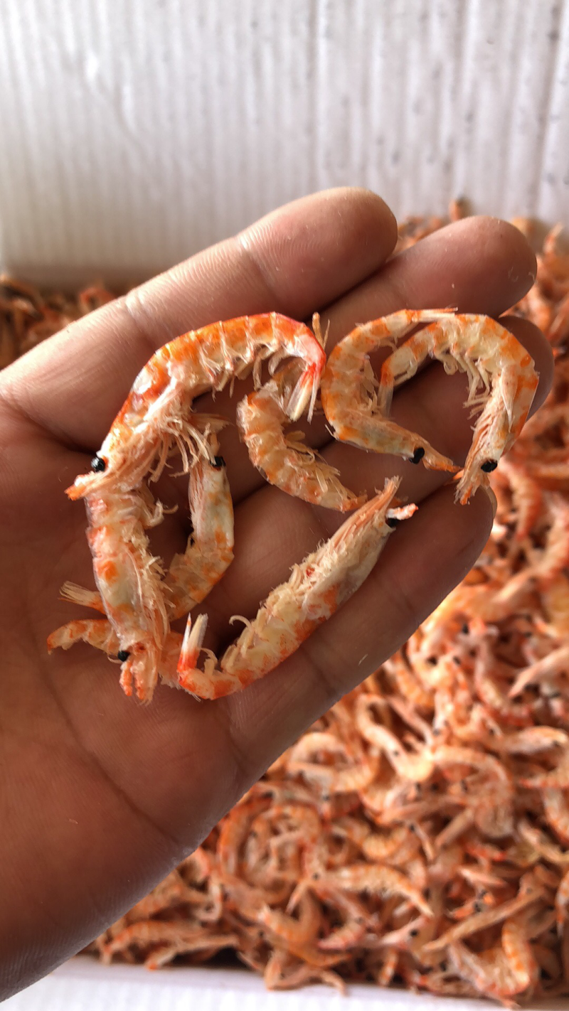 磷虾干