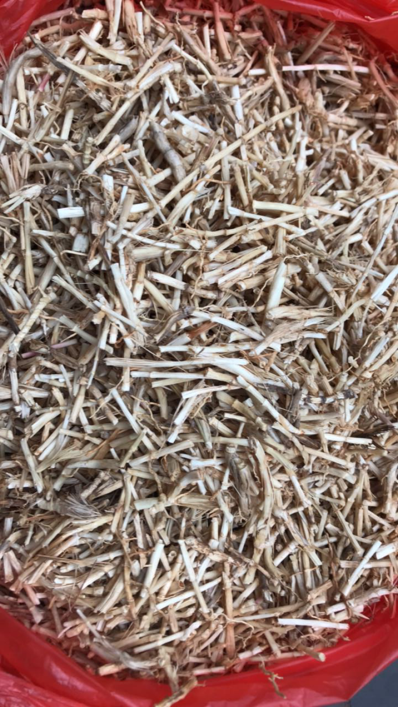 白茅根