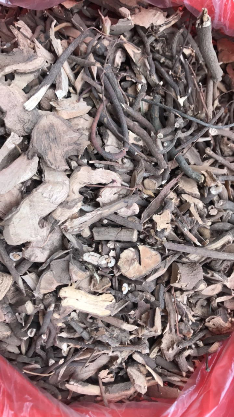 小罗伞