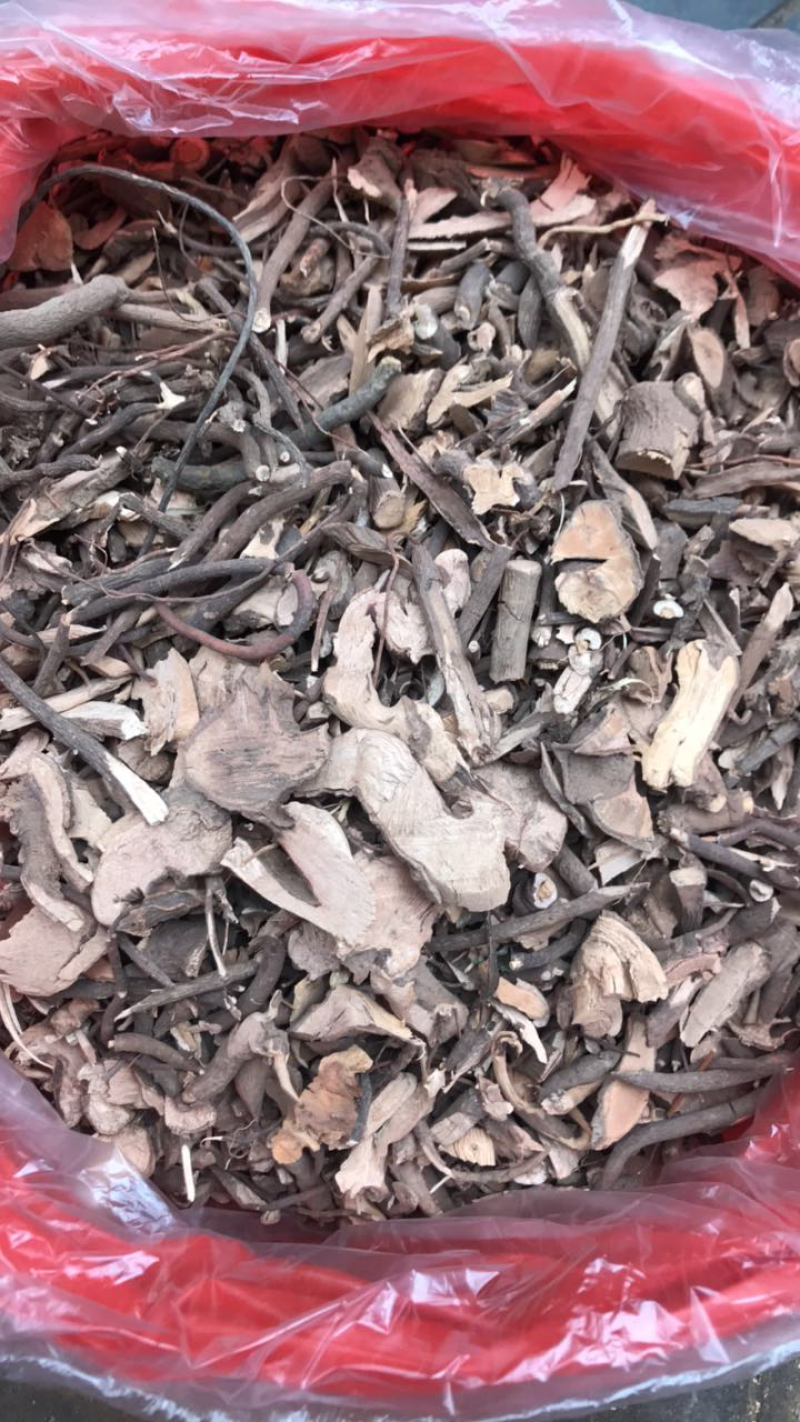 小罗伞
