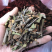 2121年，正宗桑寄生，桑树寄生茶，清绿香味十足，新货.