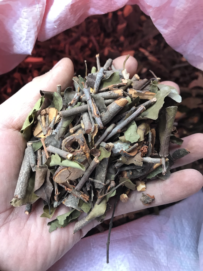 2121年，正宗桑寄生，桑树寄生茶，清绿香味十足，新货.