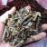 2121年，正宗桑寄生，桑树寄生茶，清绿香味十足，新货.