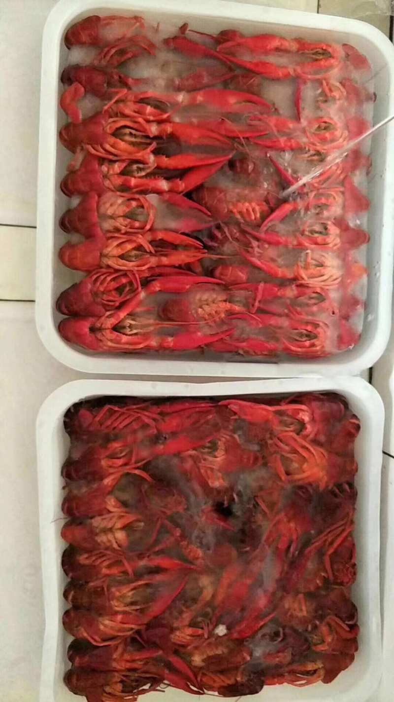 冻虾