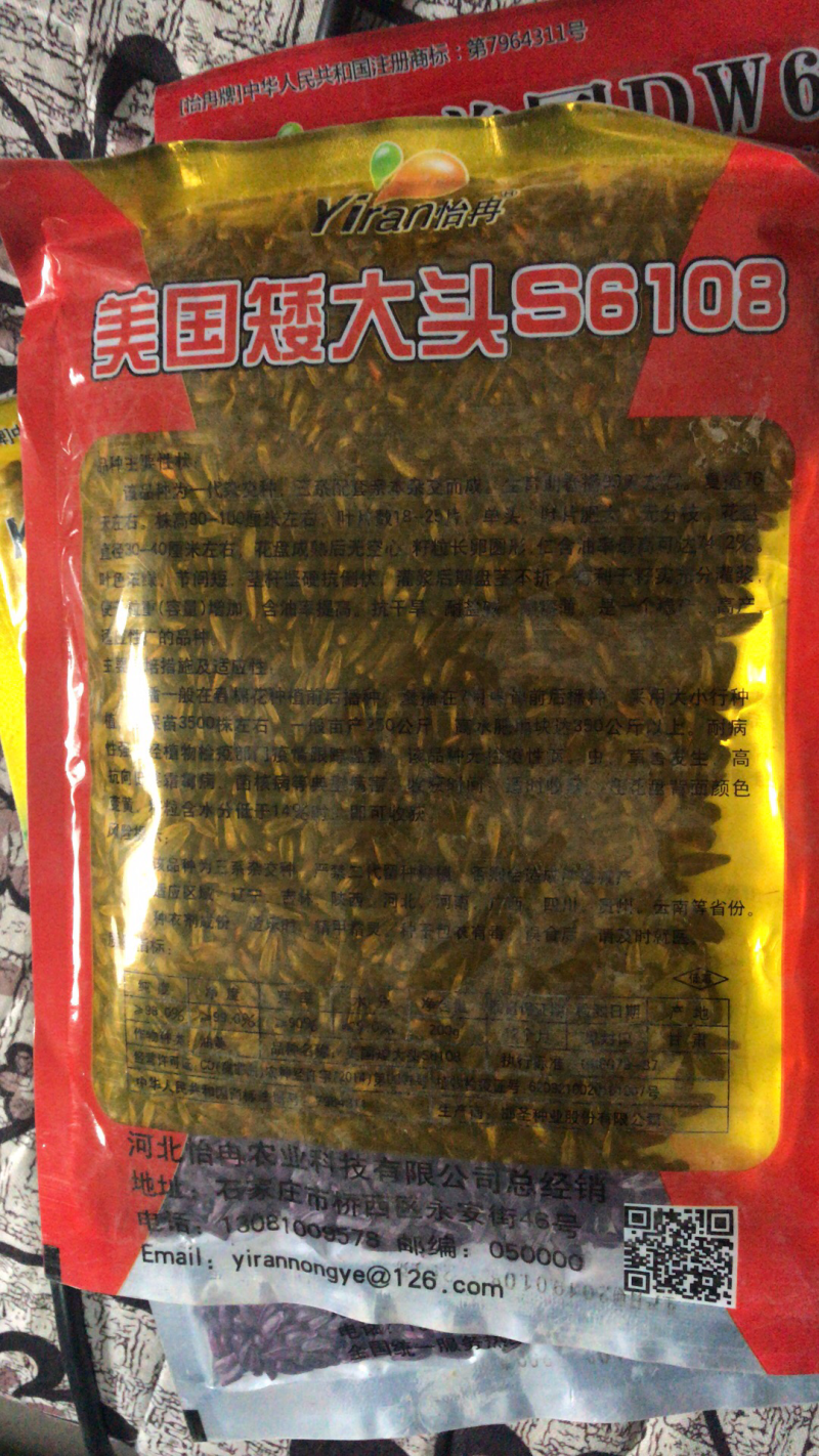 美国超级矮大头油葵种子向日葵种子批发