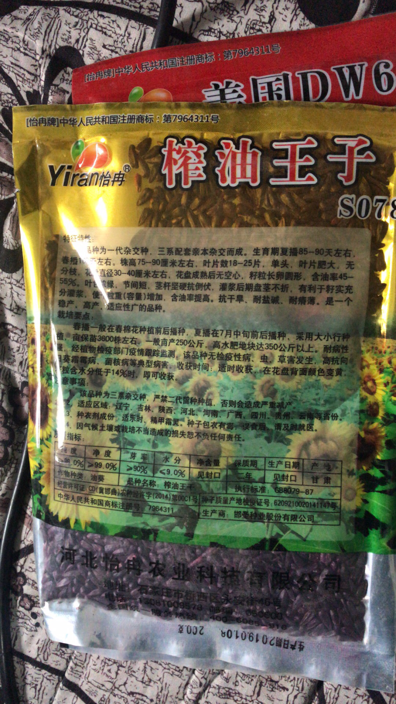美国超级矮大头油葵种子向日葵种子批发