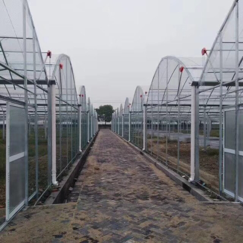 钢架大棚