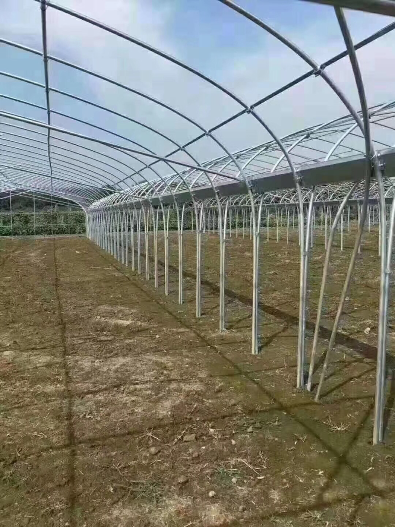 钢架大棚
