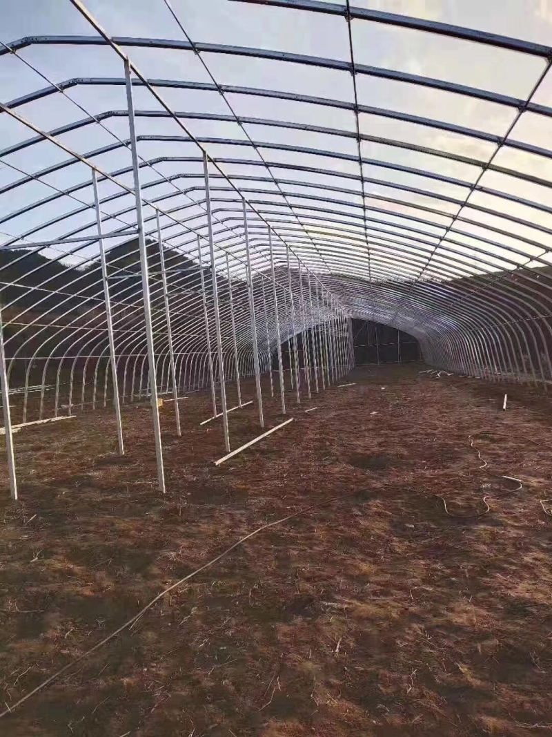 钢架大棚