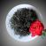 蒲公英婆婆丁黄花地丁奶汁草