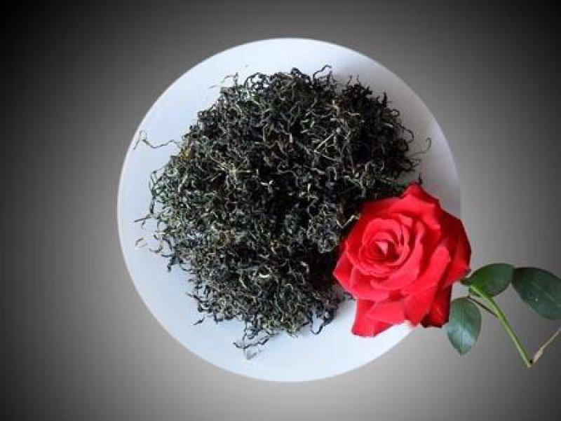 蒲公英婆婆丁黄花地丁奶汁草