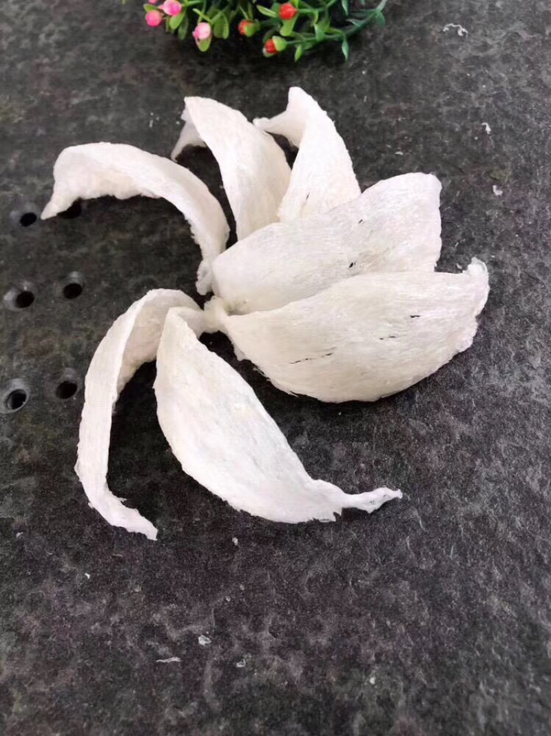 燕窝