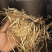 批发包装纸水果纸丝碎纸条牛皮纸丝拉菲草防震填充物2-