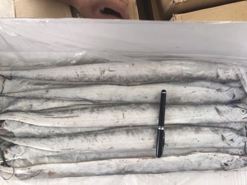 盒装刀鱼